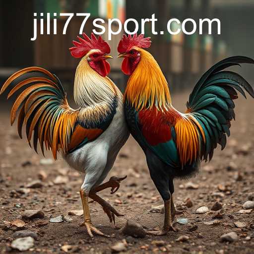 Exploring the Complex World of Cockfighting